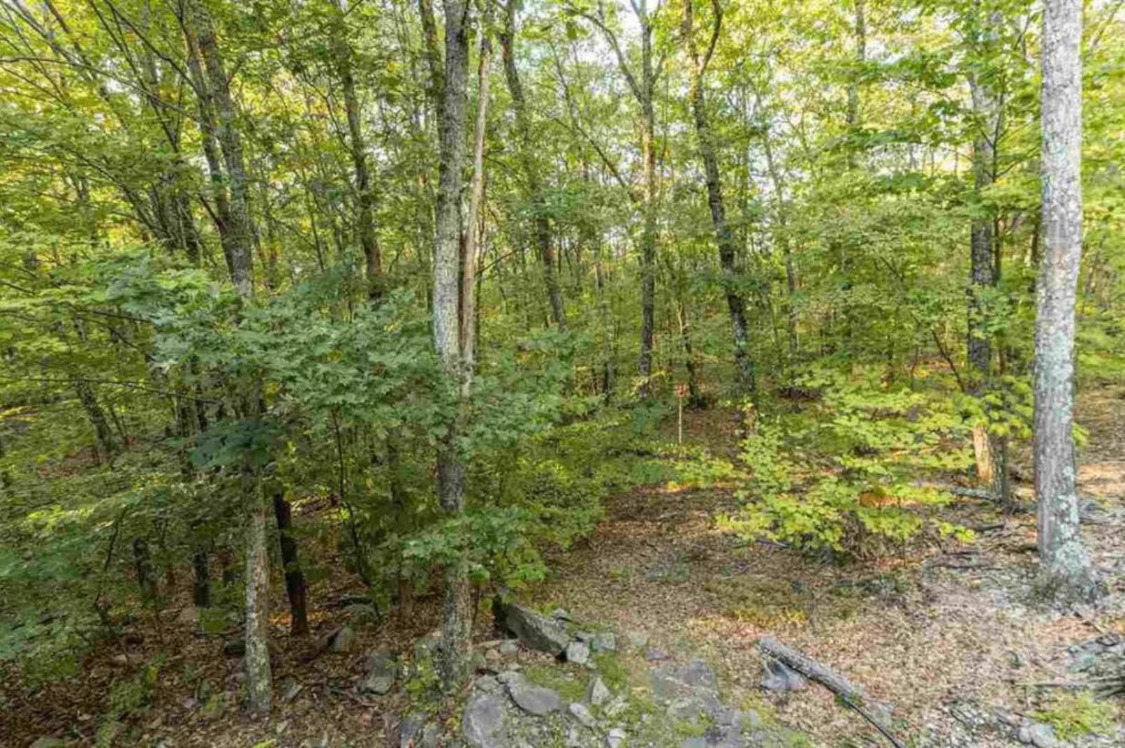 Cabin At Paradise Lake Catskill Exterior photo